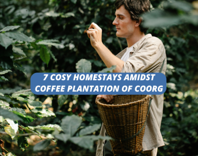7 Cosy Homestays Amidst Coffee Plantation of Coorg